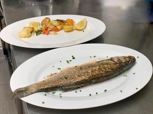 476c5e47-06a4-46c3-95ca-09415280e7d2